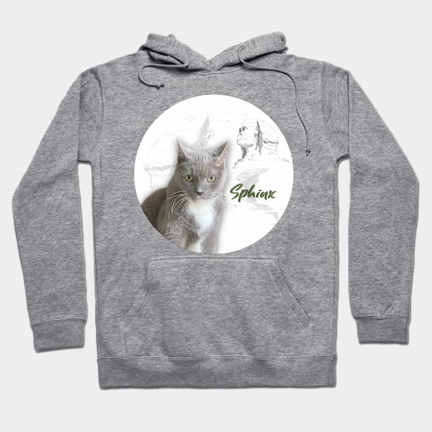 Sphynx Egyptian Grey Cat Hoodie by Long-N-Short-Shop